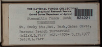 Image Associated With the Occurence